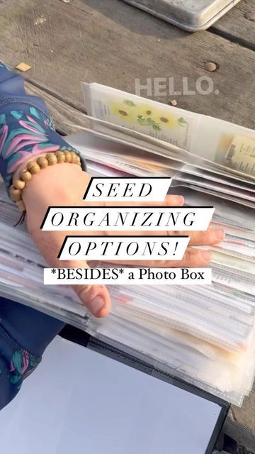 Rachelle, Soil Slinger on Instagram: "I really love my flower seed binder and I highly recommend you try it! I also use the photo boxes that you see all over IG, but only for food crops. Flower seeds tend to not be so chonky, so they work well in the photo sleeves. You can get these online easily, just make sure they are 3-ring photo sleeves with 4 spots per page. This would work good for herbs too :) Organizing your seeds is a huge time-saver, as is all forms of organizing, of course! But I r Seed Binder, Photo Sleeve, Photo Boxes, Time Saver, Photo Box, Flower Seeds, My Flower, You Tried, Soil