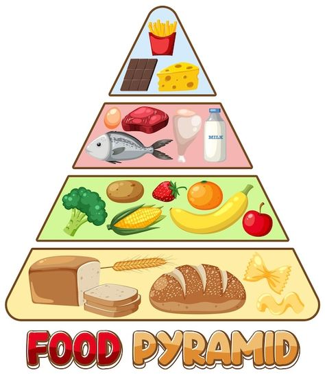 Food nutrition groups pyramid | Premium Vector #Freepik #vector #fat-cartoon #food-groups #food-clipart #carbs Best Chocolate Bundt Cake Recipe, Food Groups For Kids, Pyramid Illustration, Food Pyramid Kids, Nutrition Pyramid, Fat Cartoon, Nutrition Poster, Easy Custard, Cake Pizza