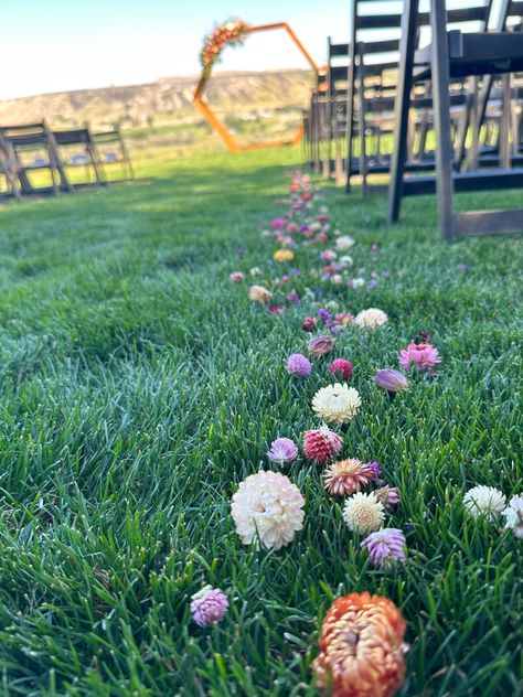 Colorful dried flowers to line the aisle for your wedding. Flower girls throw dried flowers instead of rose petals as well. Wildflower Petals Wedding Aisle, Petals Down Aisle Wedding, Dried Flower Aisle, Flower Lined Aisle Wedding, Ceremony Aisle Runner, Flower Confetti Wedding, Wedding Ceremony Aisle, Dried Flower Confetti, Wedding Flower Girls