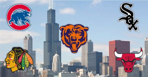 5 Reasons Why Chicago Sports Fans are the Best Chicago Sports Teams, Sports Signs, Chicago Sports, City That Never Sleeps, Basement Design, All Sports, Chicago Bears, Sports Teams, Willis Tower