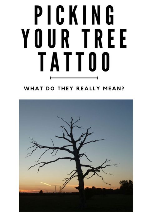 Check out a quick visual guide to see tree tattoos and their meanings. Oak Tattoo Tree, Yew Tree Tattoo, Tree Branch Tattoos For Women, Oak Tree Leaf Tattoo, Ash Tree Tattoo, Dna Tree Tattoo, Poison Tree Tattoo, Sequoia Tree Tattoo, Oak Tree Tattoo Small