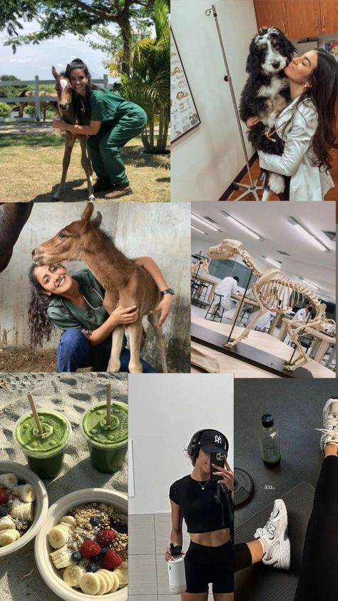 Veterinarian Assistant Aesthetic, Veterinary Vision Board, Vet Girl Aesthetic, Livestock Veterinarian Aesthetic, Travel Veterinarian, Wildlife Veterinarian Aesthetic, Army Veterinarian, Vet Med Aesthetic, Pre Vet Student