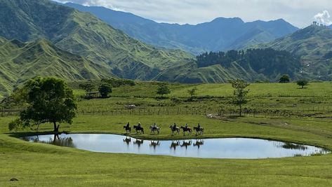 The Communal Ranch in Impasugong, Bukidnon is a unique community-based initiative that aims to promote sustainable agriculture and improve the livelihoods of local farmers. The ranch is a collective effort […] The post Communal Ranch – Impasugong, Bukidnon appeared first on RB T-shirt, Tarpaulin Printing and Advertising. Indigenous Knowledge, Natural Fertilizer, Sports Logo Design, Crop Rotation, My Bucket List, Sustainable Agriculture, Stay Overnight, Go Hiking, Scenic Landscape