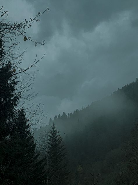 Foggy Meadow Aesthetic, Foggy Mountain Aesthetic, Forks Forest, Foggy Forest Wallpaper, Foggy Aesthetic, Forks Twilight, Twilight Art, Twilight Forest, Twilight Vibes