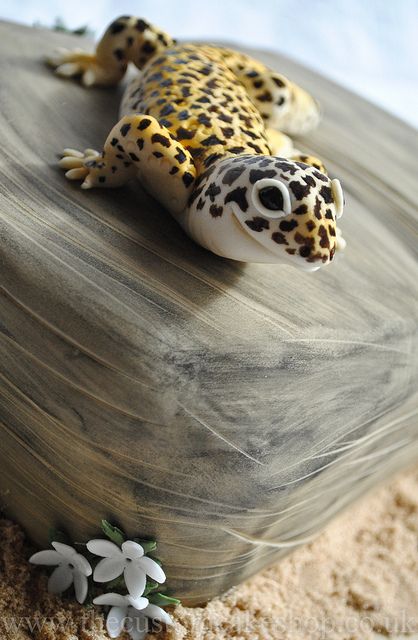 Leopard Gecko- definitely for the next time I have to make a cake for Hunter... So cool! Geckos Garage Birthday Party, Gecko Birthday Party, Gecko Cake Ideas, Gecko Birthday Cake, Gecko Garage Birthday Cake, Geckos Garage Cake, Gecko Cake, Lizard Cake, 13th Birthday Cake