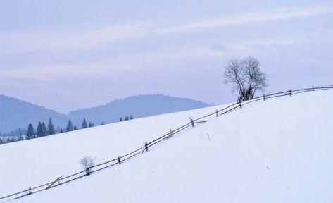 *🇺🇦 Snowy field in the Carpathians (Ukraine) by Dmitry Pozharsky // Снежное поле в Карпатах (Украина) автор Дмитрий Пожарский ❄️🌅 E Snowy Field, Belarus, Shadow Box, Ukraine, Photographer, Photography, Nature