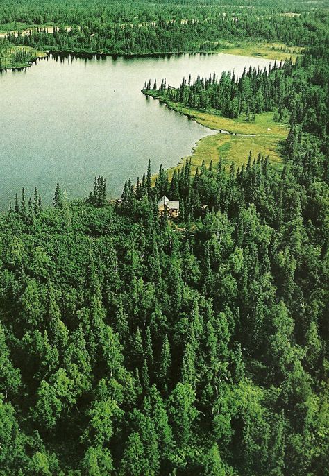 Vintage National Geographic National Geographic Photography, Little Cabin In The Woods, National Geographic Magazine, Vintage Patagonia, Nat Geo, Vintage Landscape, Green Life, Cabins In The Woods, Lock Screen