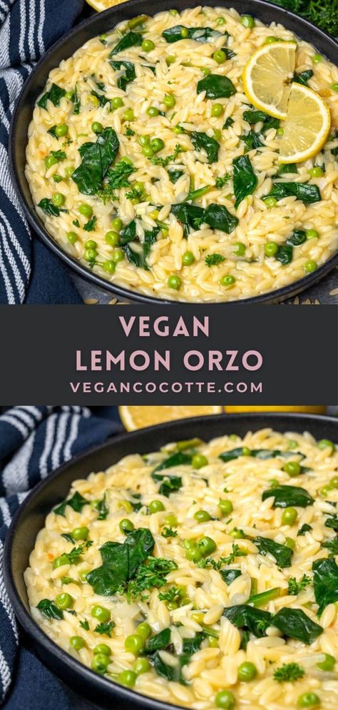 Vegan Lemon Orzo Vegan Lemon Orzo, Orzo Pasta Recipes, Lemon Orzo, Orzo Recipes, Vegan Entree, Vegan Pasta Recipes, Vegan Sides, Light Lunch, Vegan Cooking