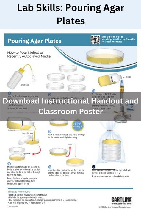 Learn the essential aseptic techniques for microbiology labs with our free instructional resources on pouring agar plates. Our free handout, video demonstration, and classroom poster provide easy-to-follow guidance. #Microbiology #LabSkills #AgarPlates #FreeEducationalResources #ScienceTeachers #BiologyLabs #AsepticTechnique #CarolinaKnowledgeCenter #STEMEducation #LabPreparation Microbiology Lab, Biology Labs, Thesis Writing, Stem Education, Professional Growth, Classroom Posters, Microbiology, Physics, Lab