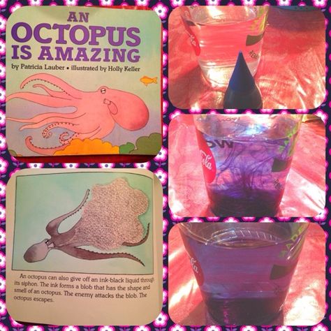 Ink experiment  My Father's World: Unit 9 Octopus Kindergarten Octopus Activities, Octopus Science Experiment, Octopus Activities For Kids, Octopus Activities For Preschool, Octopus Kindergarten, Octopus Preschool, My Fathers World Kindergarten, Octopus Activities, O Is For Octopus