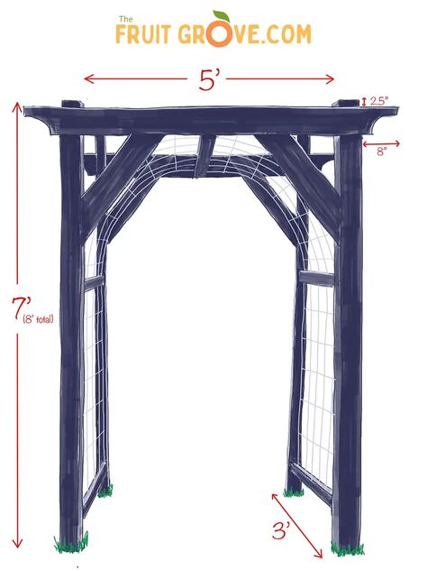 DIY Grape Arbor: Build an Inexpensive Garden Archway (+Video) – The Fruit Grove Vine Support Ideas, Diy Arbor Trellis, Garden Archway Ideas, Garden Arbors And Trellises, Outdoor Archway, Diy Garden Arch, Diy Arbor, Grape Vine Trellis, Diy Arbour