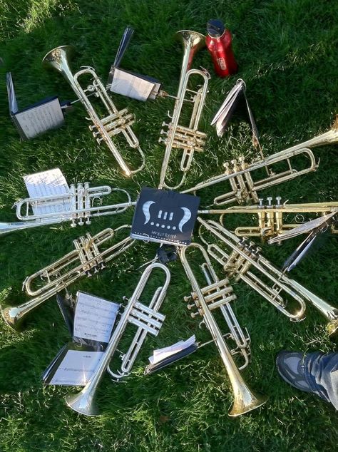 trumpets. This is how we need to line our horns up. Marching Band Memes, Band Problems, Band Aesthetic, Trumpet Sheet Music, Trumpet Music, Marching Band Humor, Band Jokes, Trumpet Players, Drum Major