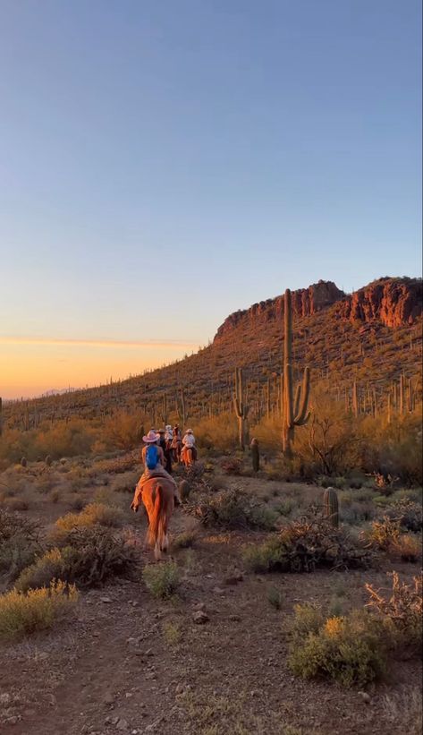 Arizona Aesthetic, Lexi Hidalgo, Desert Life, Beautiful Places On Earth, Lifestyle Inspiration, New Opportunities, New Life, Instagram Story, Beautiful Places