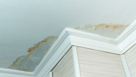 Water Stains On Ceiling, Water Stain On Ceiling, Ceiling Leak, Remove Water Stains, Drywall Tape, Drywall Mud, Popcorn Ceiling, Leak Repair, Hair Haircuts