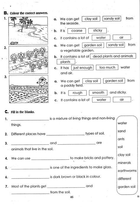 Soil Worksheet, Layers Of Soil, Coordinates Math, Grade 3 Science, Anger Management Worksheets, 7th Grade Science, English Grammar Book, Homeschool Projects, 2nd Grade Math Worksheets