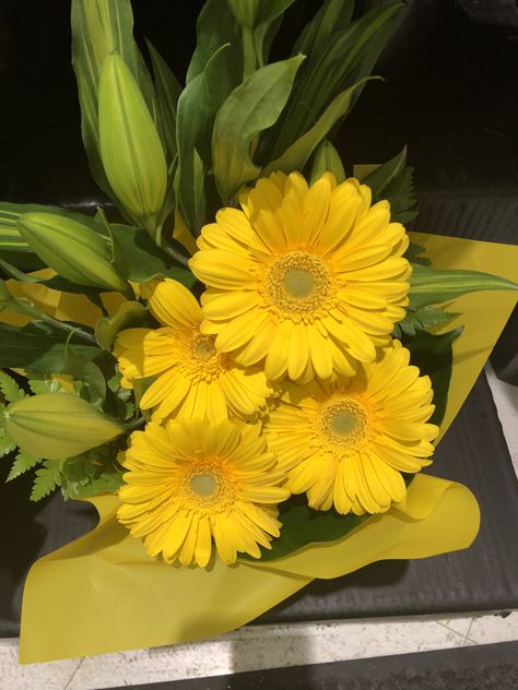 Flowers at Woolworths seem always to be fresh #flowers Yellow Daisy Bouquet, Daisy Bouquet, Flowers Bouquet Gift, Yellow Daisy, Yellow Daisies, Flower Gift, Fresh Flowers, Pretty Wallpapers, Yellow Flowers