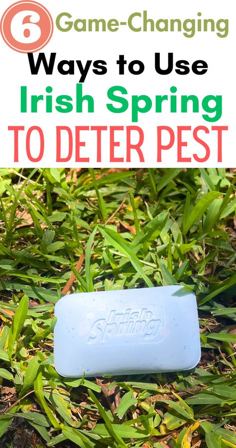 The first time I saw this, it just grabbed me. Is it possible to use Irish Spring soap as a pesticide? That was my question until...Read the full article here. #pest#pests#householdhacks#pestrepellent#pestrepeller#cleaningtips#hacks Irish Spring Bug Repellent, Irish Soap For Flies, Deer Repellent Homemade Irish Spring, Uses For Irish Spring Soap, Irish Spring Soap For Mosquitos, Irish Spring Soap For Flies, Irish Spring Soap Hacks, Irish Spring Soap In Garden, Irish Spring Soap Uses