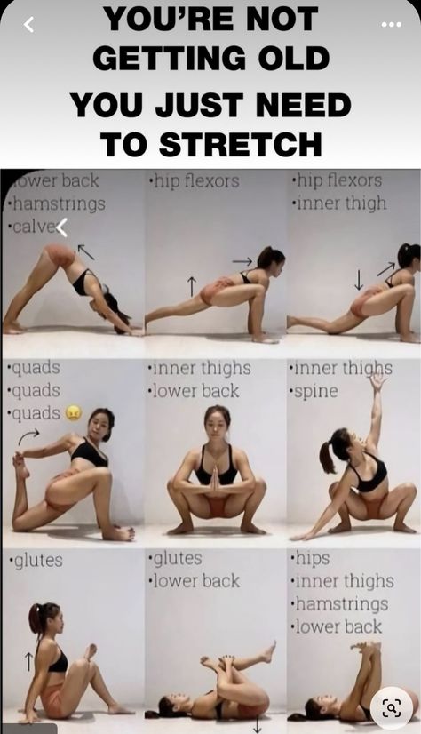 Squat Challenge For Beginners, Body Stretches Flexibility, Best Stretching Exercises, Body Stretches, Hip Flexors, Workout Without Gym, Easy Yoga Workouts, Back Pain Exercises, Stretching Exercises