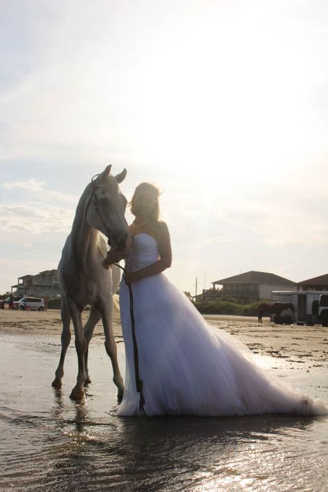 Beach|Wedding|Trash The Dress Session| Horse  Photos by Sarah Dailey Wedding On Beach, Love Vows, Horse Wedding, Trash The Dress, Horse Photos, On Beach, Beach Wedding, The Beach, The Dress