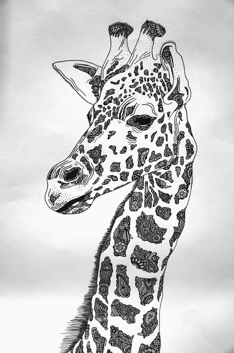 Giraffe Tattoo, Giraffe Drawing, White Giraffe, Zentangle Animals, Giraffe Pictures, Giraffe Painting, Pencil Drawings Of Animals, Giraffe Art, Animal Illustrations