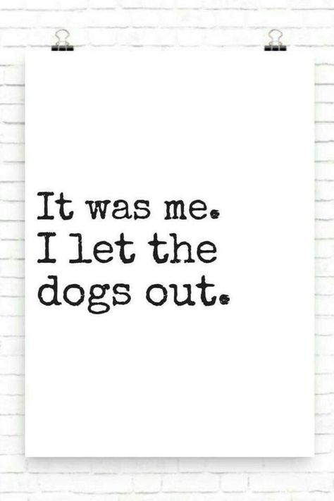 Woof woof 😉 Funny Witty Quotes, Message Board Quotes, Funny Quote Prints, Dog Quotes Love, Felt Letter Board, Funny Relationship Memes, Rap Quotes, Dog Quotes Funny, Felt Letters