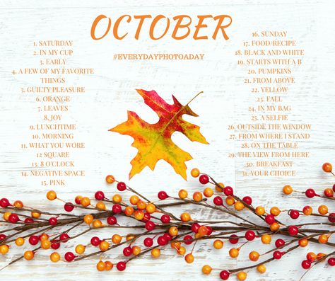 October Ideas, Photo A Day Challenge, Photo A Day Ideas, Photo Prompts, Month Of October, Instagram Template Design, Monthly Photos, Photography Basics, Photography Challenge