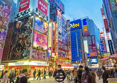 Hachiko Statue, Elevated Train, Akihabara Tokyo, Ghibli Museum, Tokyo Streets, Ueno Park, Yoyogi Park, Sensoji Temple, Kabukicho