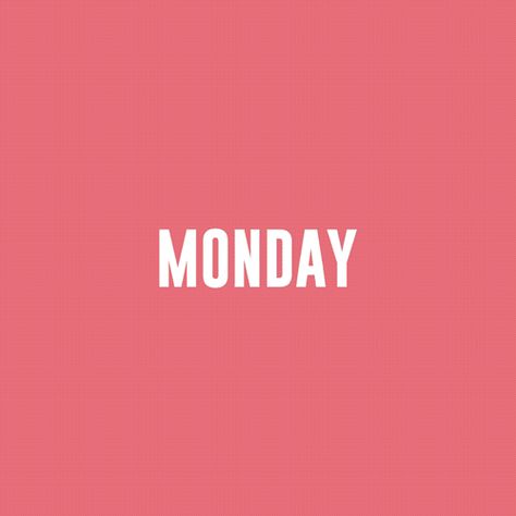 Snoopy Happy Monday, Happy Monday Funny, Monday Gifs, Good Morning Monday Gif, Happy Monday Gif, Monday Gif, Monday Funny, Good Morning Sunday Images, Good Morning Monday