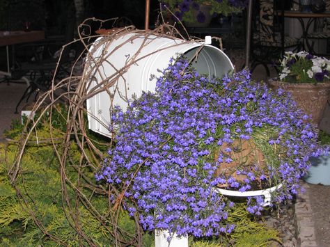 recyling my old mailbox. Fairytale Garden Ideas, Mail Box Ideas, Mailbox Planter, Old Mailbox, Mailbox Garden, Vintage Mailbox, Fairytale Garden, Mailbox Ideas, Walking Trail