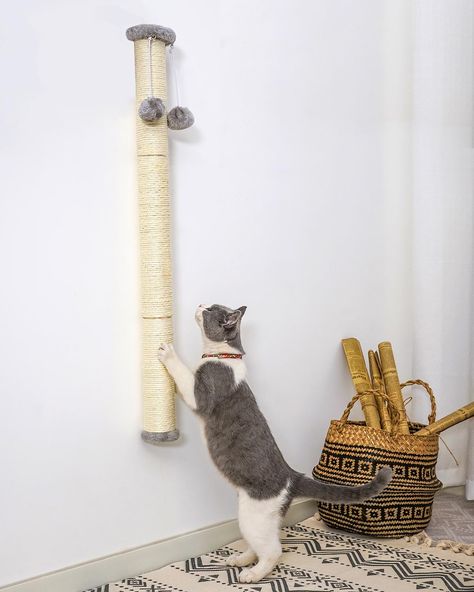 PRICES MAY VARY. STABLE & STURDY: Wall-mounted cat scratching post, avoid being knocked over during the cat scratching and can withstand intense scrambling TALL ENOUGH: Overall height 34 inches, which can be used by both large and small cats; also head rubs, climbing & stretching, scratching can be satisfied with one post, keeps you cat active NATURAL & ECO-FRIENDLY: Made of Eco friendly natural sisal, attracts cats to play to avoid scratching your sofa, saves your furniture COMPACT DESIGN: It a Natural Sisal, Cat Scratching Post, Small Cat, Scratching Post, Large Cats, Cat Scratching, Floor Space, Compact Design, Wall Mount