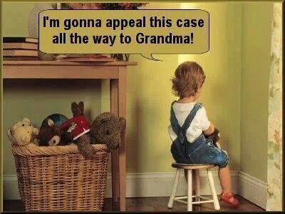 I'm gonna appeal this case all the way to Grandma! Grandparents Quotes, Grandma Quotes, Discipline Kids, Life Quotes Love, Positive Discipline, Grandma And Grandpa, Grandchildren, Bones Funny, Parenting Hacks