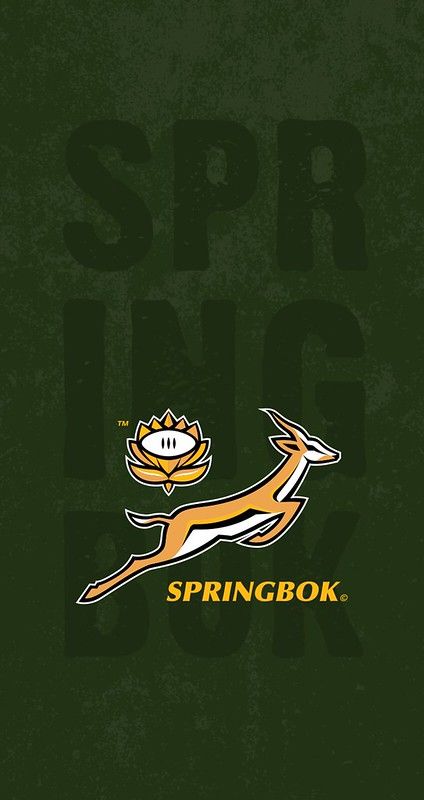 Springboks Wallpaper, Go Bokke Rugby, Spring Bokke Rugby, Springbokke Rugby, Bokke South Africa, Springbok Rugby Logo, South African Wallpaper, Springbok Rugby Wallpaper, Rugby Wallpaper Iphone