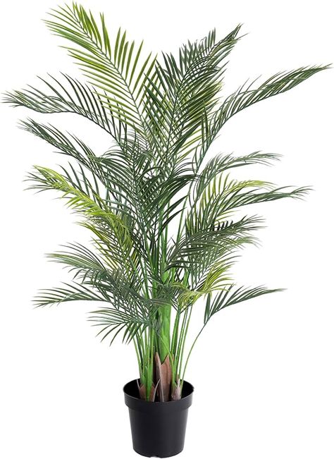 Artificial Palm Trees Indoor, Palm Plant Indoor, Areca Palm Plant, Indoor Palm Trees, Palm Tree Plant, Indoor Palms, Areca Palm, Artificial Plants Outdoor, Palm Plant