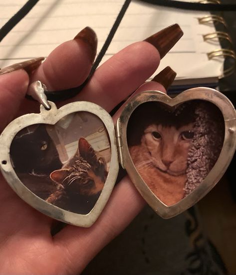 #aesthetic #accessories #necklace #locket #cats #heartlocket #cute Locket Necklace Aesthetic, Necklace Locket, Aesthetic Accessories, Picture Locket, How Lucky Am I, Necklace For Girlfriend, Heart Locket, Locket Necklace, 21st Birthday