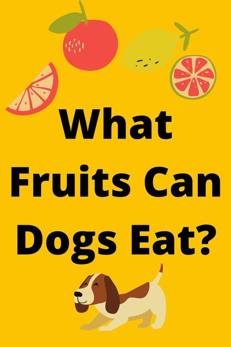 Fruit Dogs Can Eat, Pet Health Record, Dogs Eating, Fruit List, Horse Health, Eat Fruit, Can Dogs Eat, Cat Health, Dog Eating