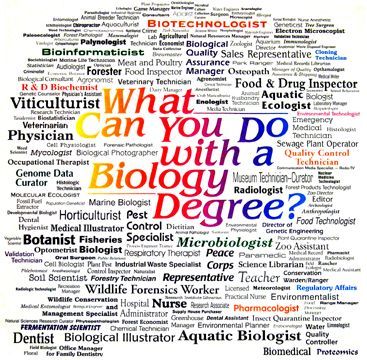 This is a poster which indicates what kind of career you can pursue after obtaining your biology degree. Biology Degree, Biology Major, Biology Resources, Biology Classroom, Up Poster, High School Biology, Ap Biology, Biology Teacher, Science Geek