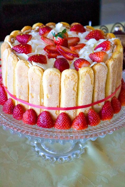 Lady Finger Cake Recipe, Lady Finger Cake, Charlotte Russe Dessert, Charlotte Russe Cake, Lady Fingers Dessert, Finger Cake, Charlotte Dessert, Lady Fingers Recipe, Finger Desserts