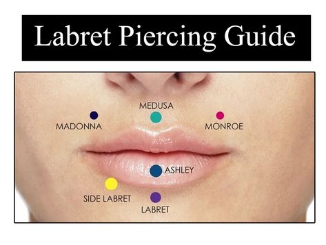 Top Lip Piercing, Chin Piercing, Lip Piercing Stud, Lip Piercing Labret, Medusa Piercing Jewelry, Ashley Piercing, Lip Piercing Jewelry, Labret Jewelry, Lip Jewelry