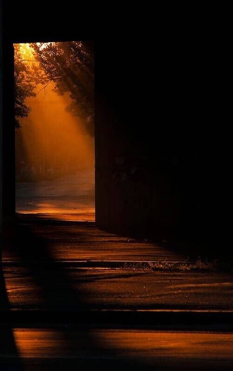 Dark Amber Aesthetic, Color Wave, Dark Photography, Autumn Cozy, Brown Aesthetic, World Of Color, Light And Shadow, The Walking Dead, Sunrise Sunset