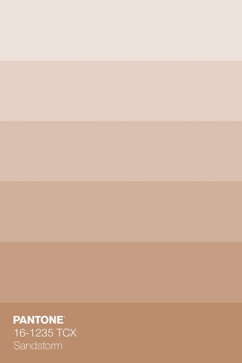 PANTONE 16-1235 TCX Sandstorm Color Tint · Indulge in the nostalgic elegance of the Coral Sand palette – a symphony of summer memories. · Creative Pantone Color Trends · #Beige #Brown #Color #ColorPalette #Coral #FHICottonTCX #Pantone #PANTONE15-1512TCXMistyRose #PANTONE16-1235TCXSandstorm #PANTONE16-1539TCXCoral #PANTONE17-1430TCXPecanBrown #PANTONE19-1554TCXSavvyRed #Red #Rose #Summer · #ColorPalette #Design #ColorBook · @pantonecolor · Kid’s Pattern Beige Shades Colour Palettes, Sand Palette, Pantone Violet, Beige Brown Color, Coral Colour Palette, Sandstone Color, Beige Color Palette, Pantone Colour Palettes, Hex Color Palette