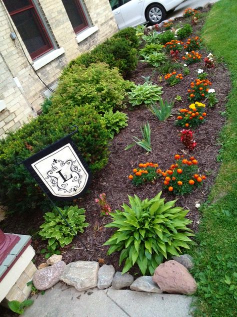 Easy to do landscaping. Hostas. Marigolds. Edgerton, Wisconsin. Marigold Landscaping Ideas, Marigold In Garden, Marigold Companion Planting, Marigolds With Tomatoes, Marigold Companion Plants, Side Yards, Marigold Flower, Garden Design Plans, Veg Garden