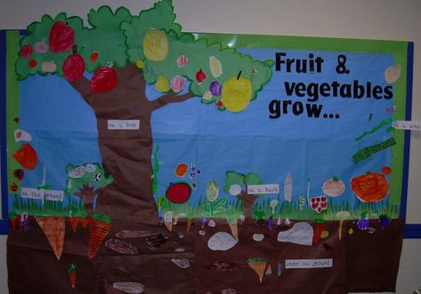 Plant bulletin board Minibeast Display, Jungle Bulletin Boards, Cafeteria Bulletin Boards, Vegetable Crafts, Teacher Bulletin Boards, Planting For Kids, School Nutrition, Different Fruits And Vegetables, Plants Unit