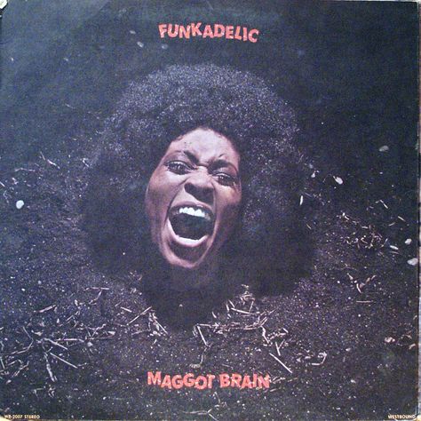 Maggot Brain by Funkadelic Eddie Hazel, Maggot Brain, Lead Guitar, Album Covers, Brain, Musician, Musical, Guitar, Movie Posters