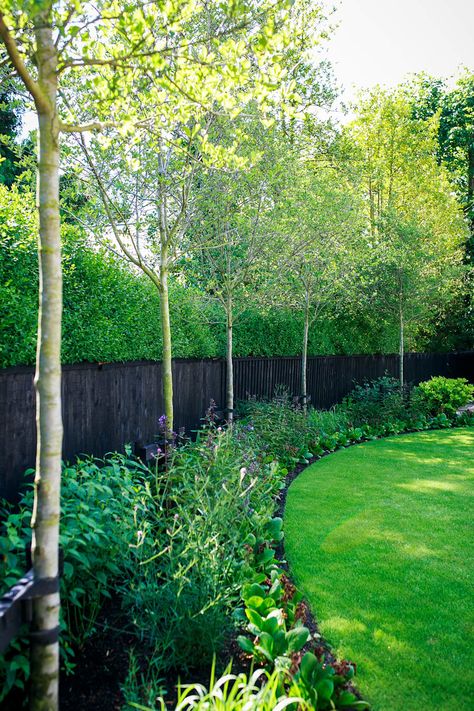 Fence And Hedge, Landscape Gardening, Contemporary Garden Design, Privacy Landscaping, Minimalist Garden, Modern Garden Design, Pool Garden, Fence Landscaping, Contemporary Garden