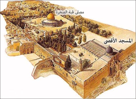 The whole area enclosed within the rectangular wall is called Al-Masjid Al-Aqsa. Total area 144000 square metres: خريطة ذهنية, Dome Of The Rock, Ancient Mesopotamia, Islamic Artwork, Cool Pictures Of Nature, Holy Land, Islamic Architecture, Art History, The Rock