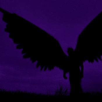 Purple Raven Aesthetic, Purple Assassin Aesthetic, Neon Purple And Black Aesthetic, Purple Wings Aesthetic, Purple Western Aesthetic, Dark Purple Grunge Aesthetic, Purple Demon Aesthetic, Purple Black Aesthetic, Purple Grunge Aesthetic