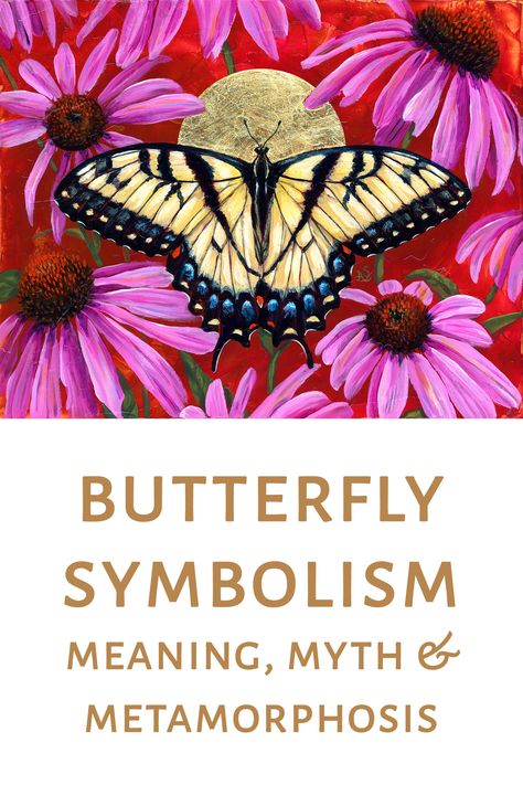 Butterfly Symbolism blog post Types Of Butterflies Meaning, Metamorphosis Art Ideas Creative, Butterfly Symbolism Meaning, Butterfly Transformation Tattoo, Meaning Of Butterflies, Transformation Butterfly, Moth Artwork, Butterfly Symbolism, Metamorphosis Art