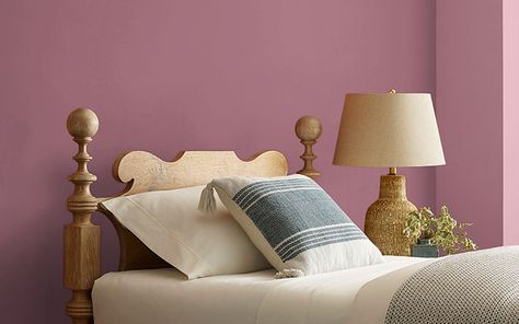 Best Paint Brand, Coral Paint Colors, Gold Paint Colors, Green Exterior House Colors, Taupe Paint Colors, Orange Paint Colors, Green Wall Color, Brown Paint Colors, Burgundy Paint