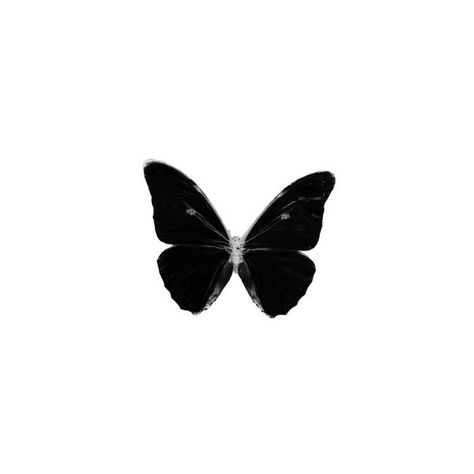 Black Pngs, Carrd Png, Butterfly Hand Tattoo, Black App, Small Icons, Minimalist Icons, Screen Icon, Insta Icon, Ios Wallpapers