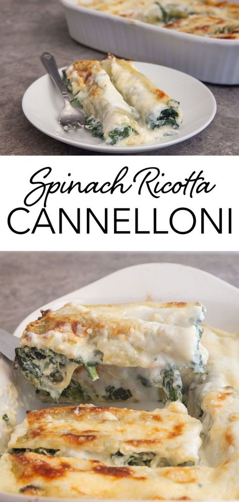 Simple White Sauce, Caneloni Recipe, White Sauce Lasagna, Spinach Cannelloni, Cannelloni Recipe, Spinach Manicotti, Ricotta Cannelloni, Cannelloni Pasta, Cannelloni Recipes